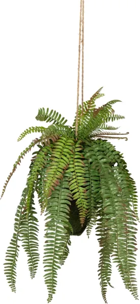 Fern, Konstgjord växt, grön, H58x30x30 cm